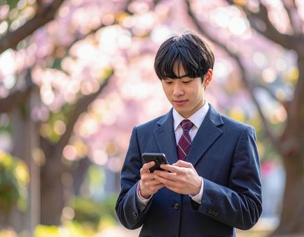 春の公園でスマホを操作する男子高校生 春の公園でスマホを操作する男子高校生の写真