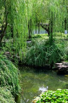 Photo, suzhou, lingering garden, world heritage, 