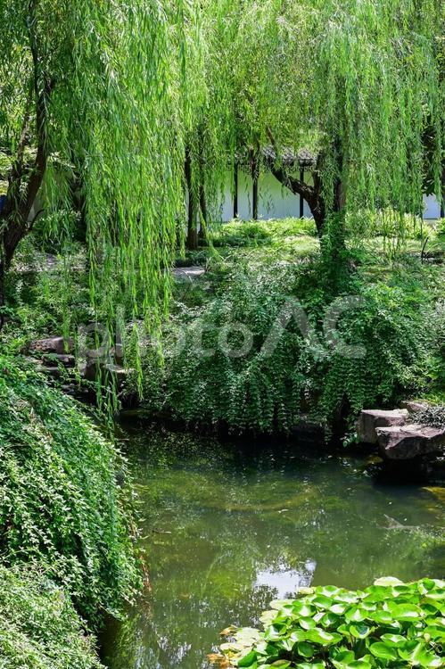 蘇州・留園 蘇州,留園,世界遺産の写真素材