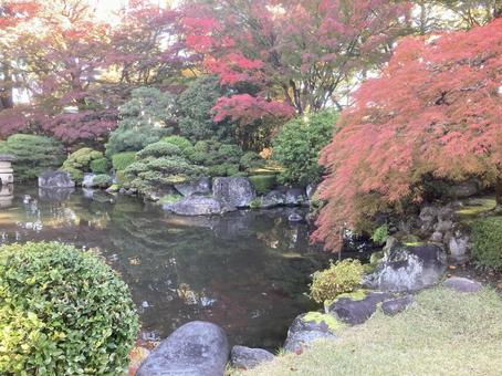紅葉 秋,綺麗な紅葉,山形市もみじ公園の写真素材