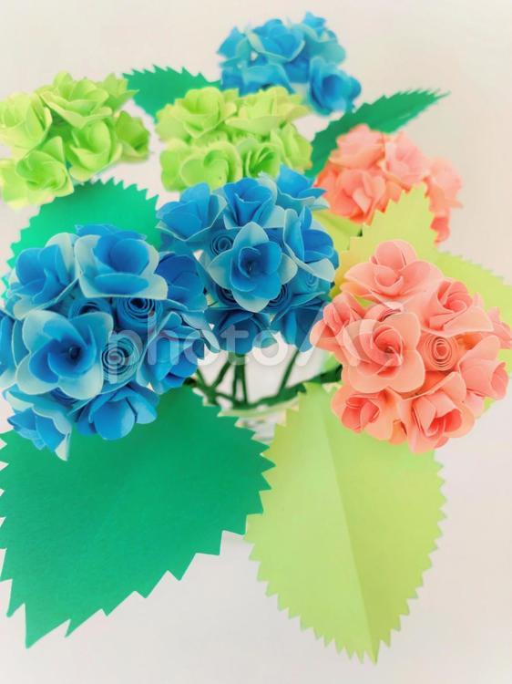 2025ペーパークラフトあじさい4 あじさい,紫陽花,アジサイの写真素材
