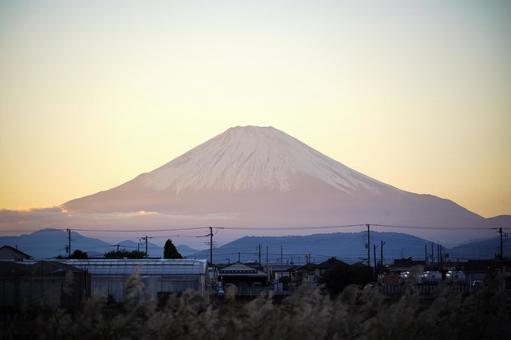 淡い夕焼け空にそびえる富士山 富士山,山,夕焼けの写真素材