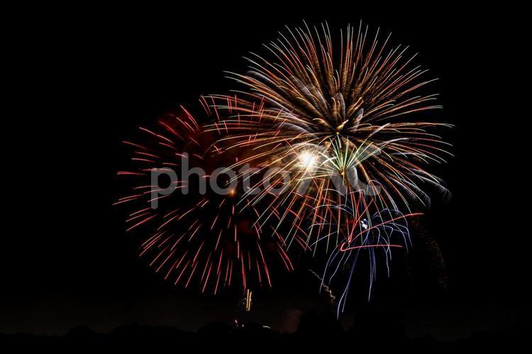 夏の夜空の花火大会の打ち上げ花火 花火,打ち上げ花火,打上花火の写真素材