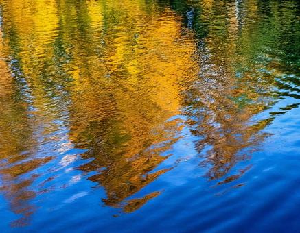 秋の湖に映る紅葉と水面の反射6の写真
