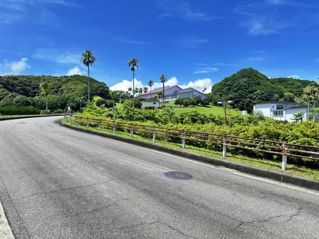 公園 夏の風景 公園 夏の風景 太地町森浦,公園,公共施設の写真素材
