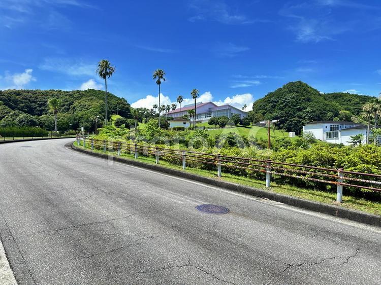 公園　夏の風景 太地町森浦,公園,公共施設の写真素材