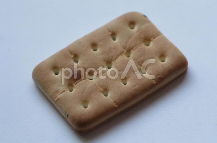 1枚のビスケット ビスケット,お菓子,おやつの写真素材