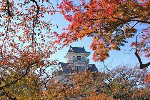 長浜城 城,長浜,長浜城の写真素材