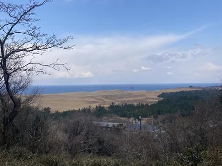 砂丘の景色の写真