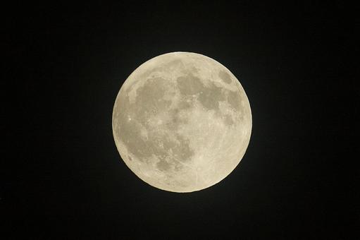 月齢14.9の月 月齢14.9の月 月,夜空,自然の写真素材