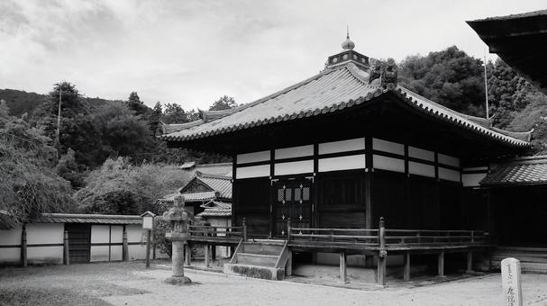 初秋三井寺の唐院潅頂堂 初秋三井寺の唐院潅頂堂 三井寺,唐院潅頂堂,重要文化財の写真素材