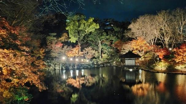 和歌山城紅葉渓庭園の池の夜景 和歌山城紅葉渓庭園の池の夜景 ライトアップ,夜景,紅葉の写真素材