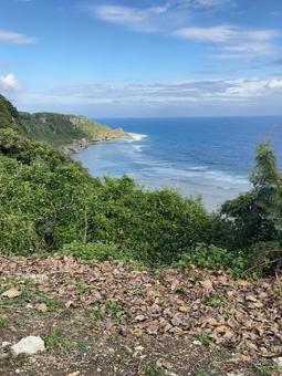 海 海,波,海岸の写真素材