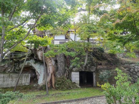 松島_観瀾亭 観瀾亭,伊達政宗,欅の写真素材