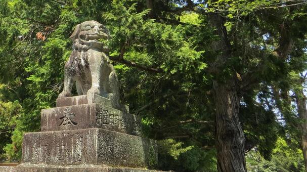 熊野速玉大社　境内の風景　狛犬 熊野速玉大社,熊野三山,熊野権現の写真素材
