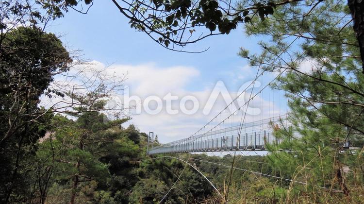 春の森林公園の鋼鉄製吊り橋 吊り橋,遊歩道,春の写真素材