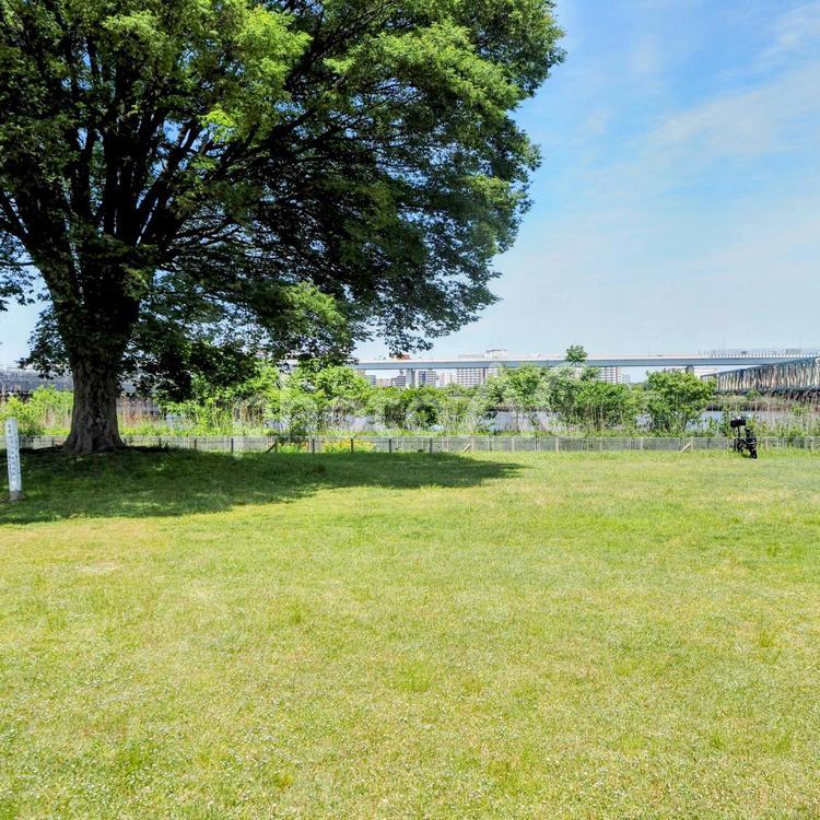 初夏の荒川・新緑の葉＆鉄橋・江戸川区平井 初夏,荒川,平井運動公園の写真素材