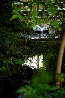 隙間から見える小川 隙間から見える小川 自然美,渓流,森林浴の写真素材