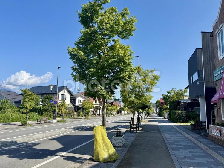 長野県軽井沢町の街並み 街並み,長野県,軽井沢町の写真素材