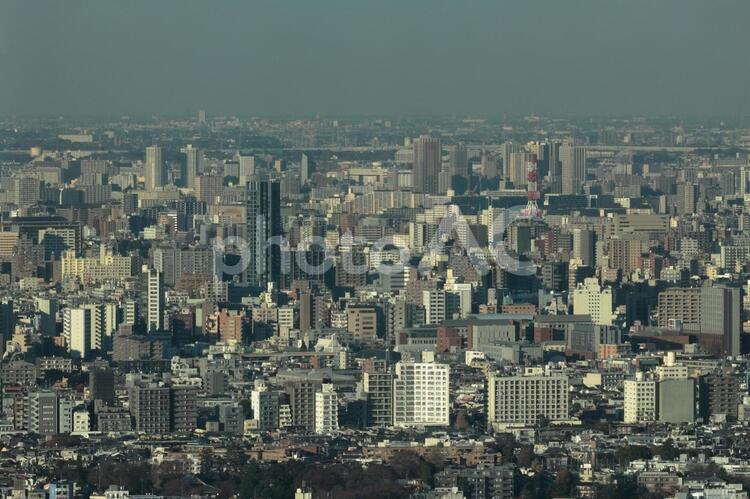 東京の風景 東京,新宿,都市の写真素材