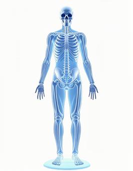 人体骨格のホログラフィック表示の写真