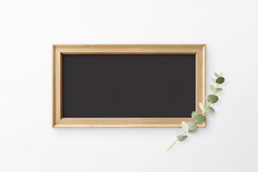 植物の飾り 白背景 木枠のフレーム 植物の飾り 白背景 木枠のフレーム ユーカリ,葉,ボタニカルの写真素材