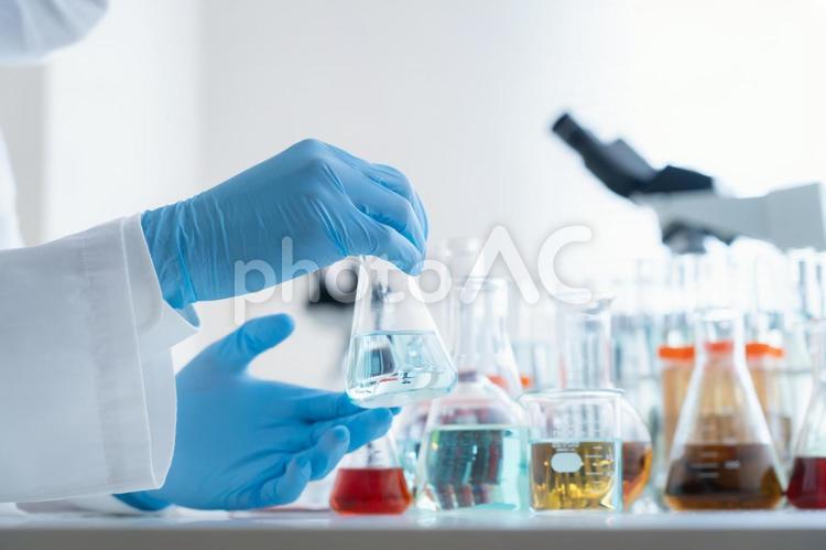研究所で実験をする研究者 研究,科学,実験の写真素材