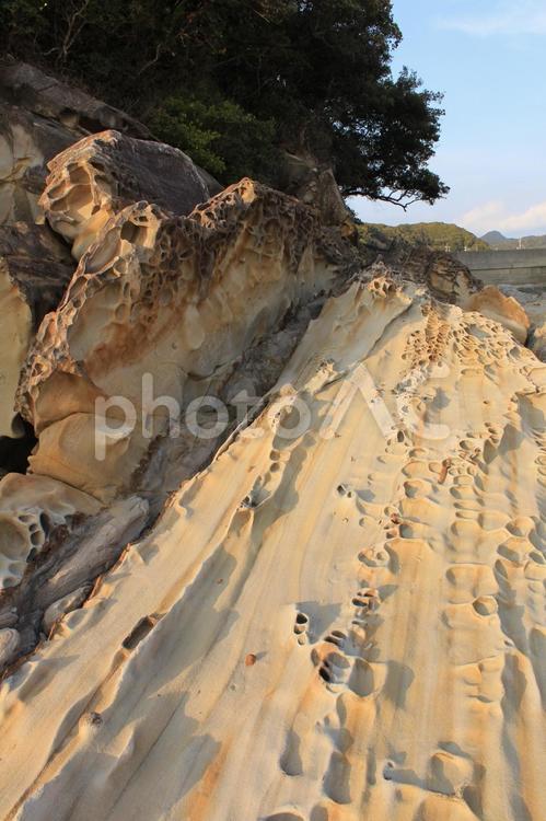 高知県竜串海岸　奇岩のある風景 奇岩,岩,竜串の写真素材
