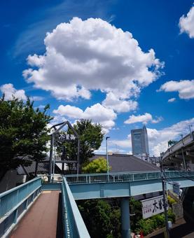 夏の雲 夏の雲の写真