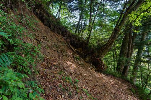 登山道　ロープ 登山,登山道,山道の写真素材