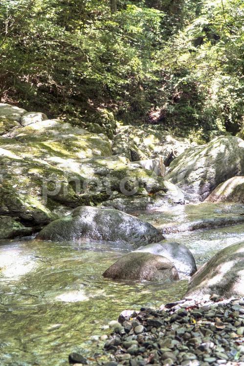 川　水の流れ12　清流と岩場 川,流れ,岩の写真素材