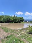 田植え前の田んぼ 農業,田植え,田んぼの写真素材