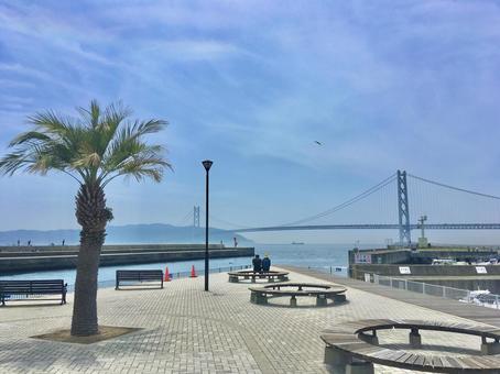 平磯の恋人岬から見える明石海峡大橋 恋人岬,明石海峡大橋,平磯海づり公園の写真素材