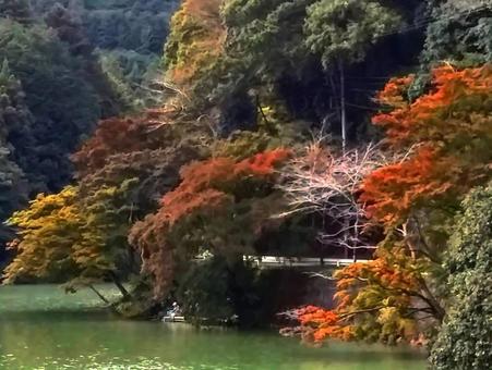 日本の紅葉 日本の紅葉の写真