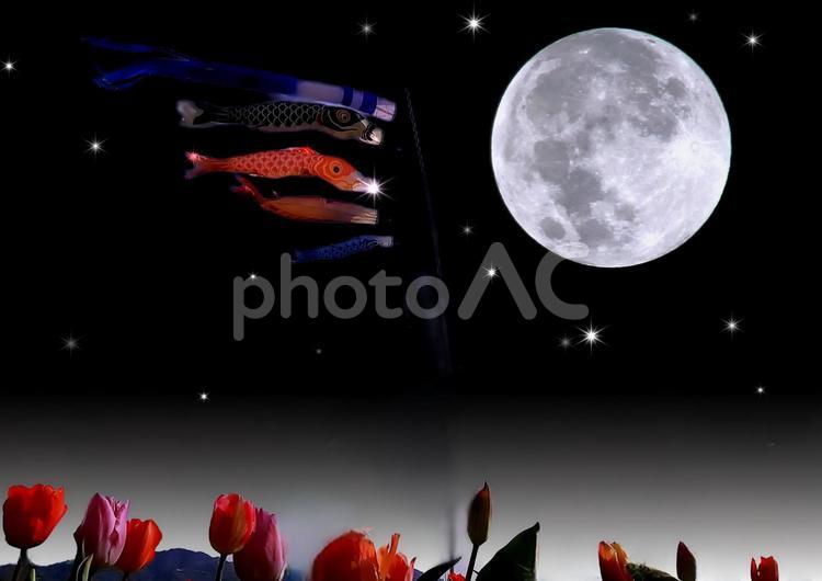 イメージ素材/月夜の鯉のぼり 月夜,満月,夜空の写真素材
