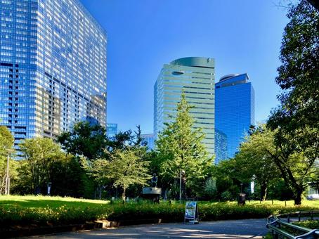 新宿中央公園の朝 新宿中央公園の朝 公園,park,西新宿の写真素材