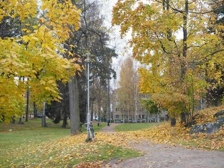 フィンランドの公園 フィンランドの公園の写真