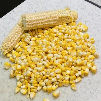 とうもろこし とうもろこし,料理,粒の写真素材