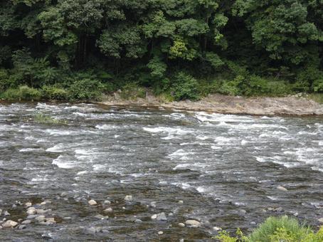 渓流の写真