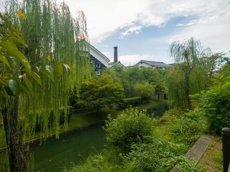 京都の伏見を流れる湊川と酒蔵の景色 京都,伏見,湊川の写真素材