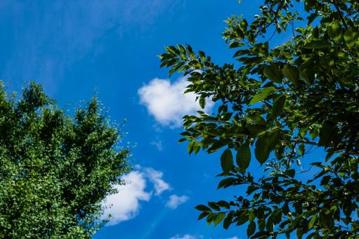 Blue sky, clouds and green 8, JPG