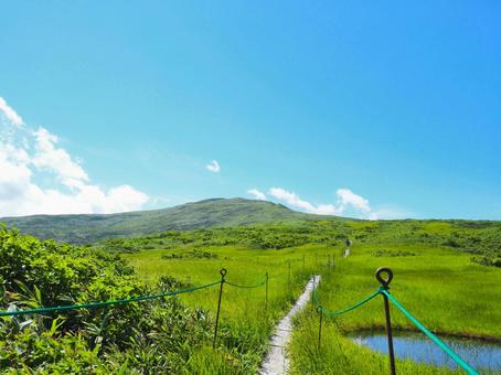 山道28 山道28 山,月山,月山弥陀ヶ原湿原の写真素材
