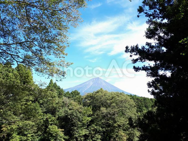富士山の風景・静岡から撮影 風景,自然,山の写真素材
