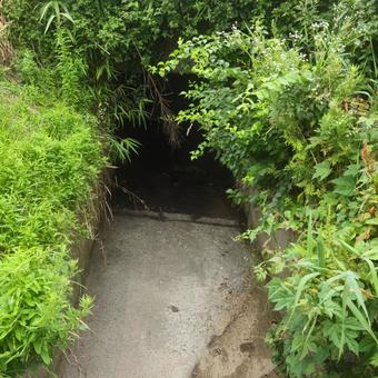 水のない水路 水のない水路の写真