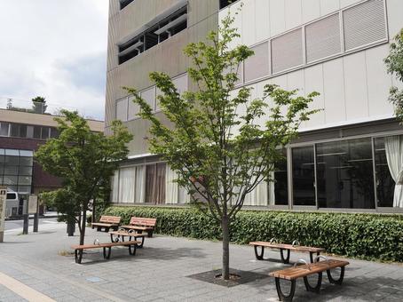 おだわら市民交流センターUMECOベンチ おだわら市民交流センターUMECOベンチ おだわら市民交流センター,umeco,小田原市の写真素材