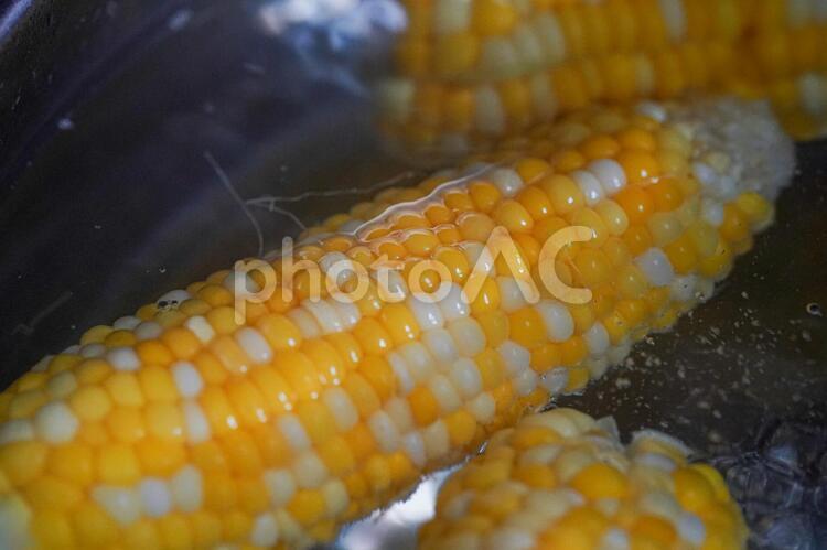 トウモロコシを茹でる とうもろこし,トウモロコシ,コーンの写真素材