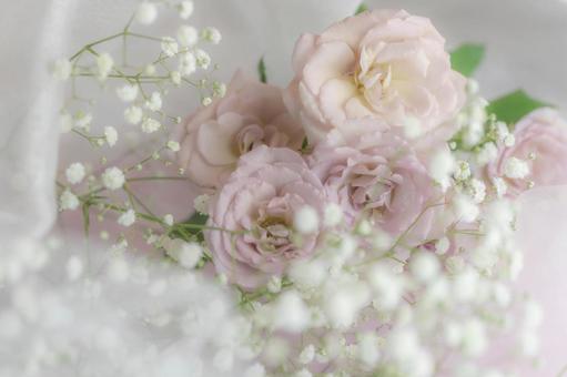 エレガントなバラの花束 エレガントなバラの花束 薔薇,バラ,花束の写真素材