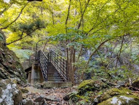 竜化の滝へ上るルート 竜化の滝,紅葉,ハイキングの写真素材