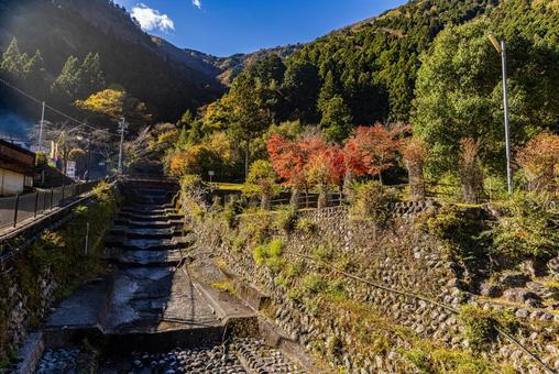 静岡県 寸又峡の秋景色 静岡県 寸又峡の秋景色 寸又峡,夢の吊橋,紅葉の写真素材