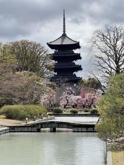 東大寺五重塔 東大寺五重塔の写真